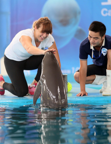 细的偿还计 细的偿还计